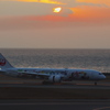 JAL[ARASHI HAWAII JET](JA873J)787-9@ｾﾝﾄﾚ