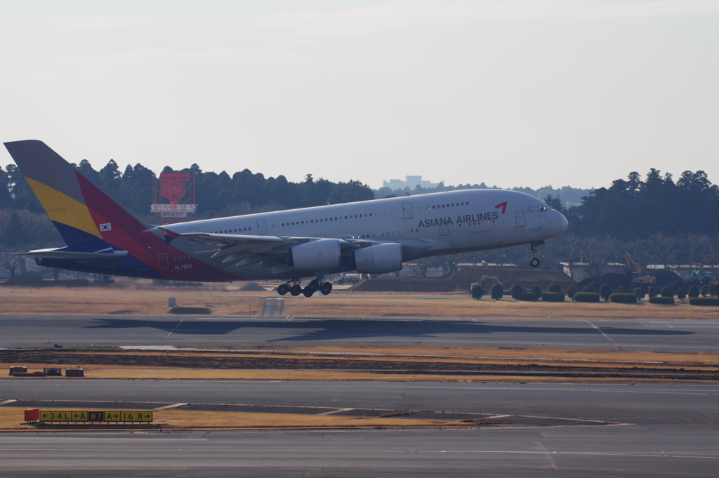 ｱｼｱﾅ航空(HL7625)A380@成田4