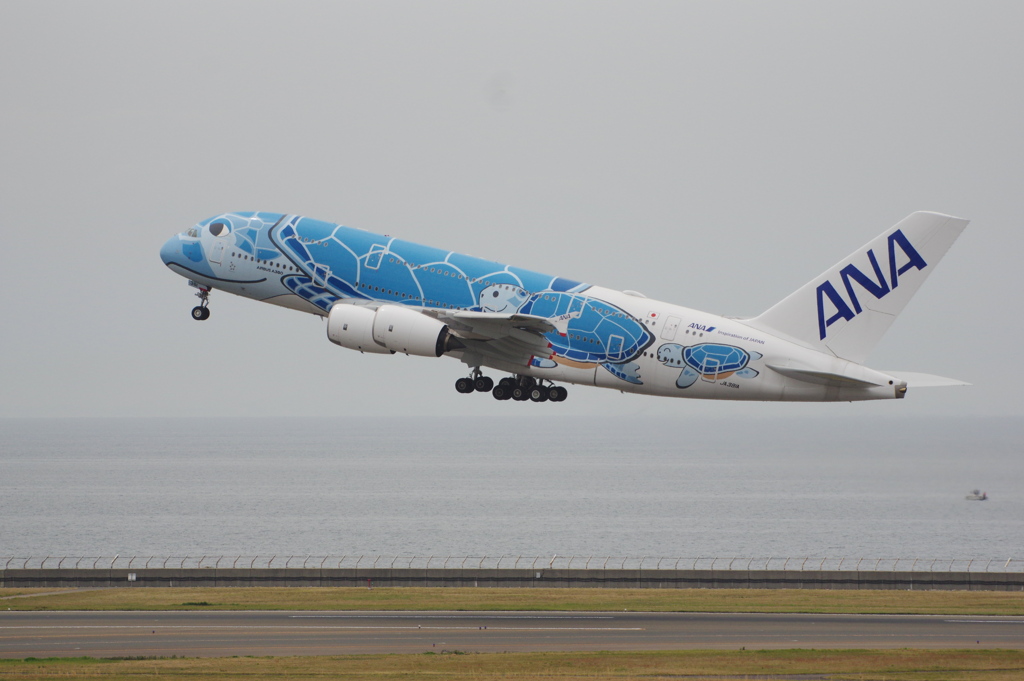 ANA(JA381A)A380-841[FLYING HONU]@ｾﾝﾄﾚｱ