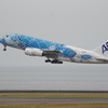 ANA(JA381A)A380-841[FLYING HONU]@ｾﾝﾄﾚｱ