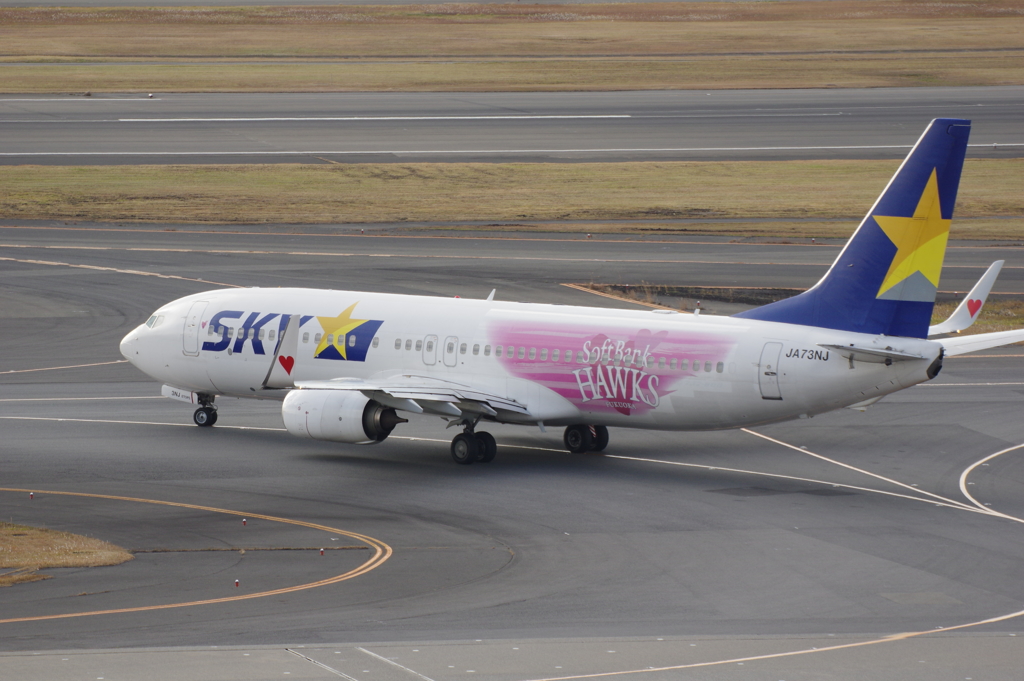 ｽｶｲﾏｰｸ ﾀｶｶﾞｰﾙ(JA73NJ)737-800@羽田