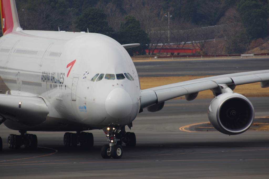 ｱｼｱﾅ航空(HL7625)A380@成田2