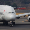 ｱｼｱﾅ航空(HL7625)A380@成田2