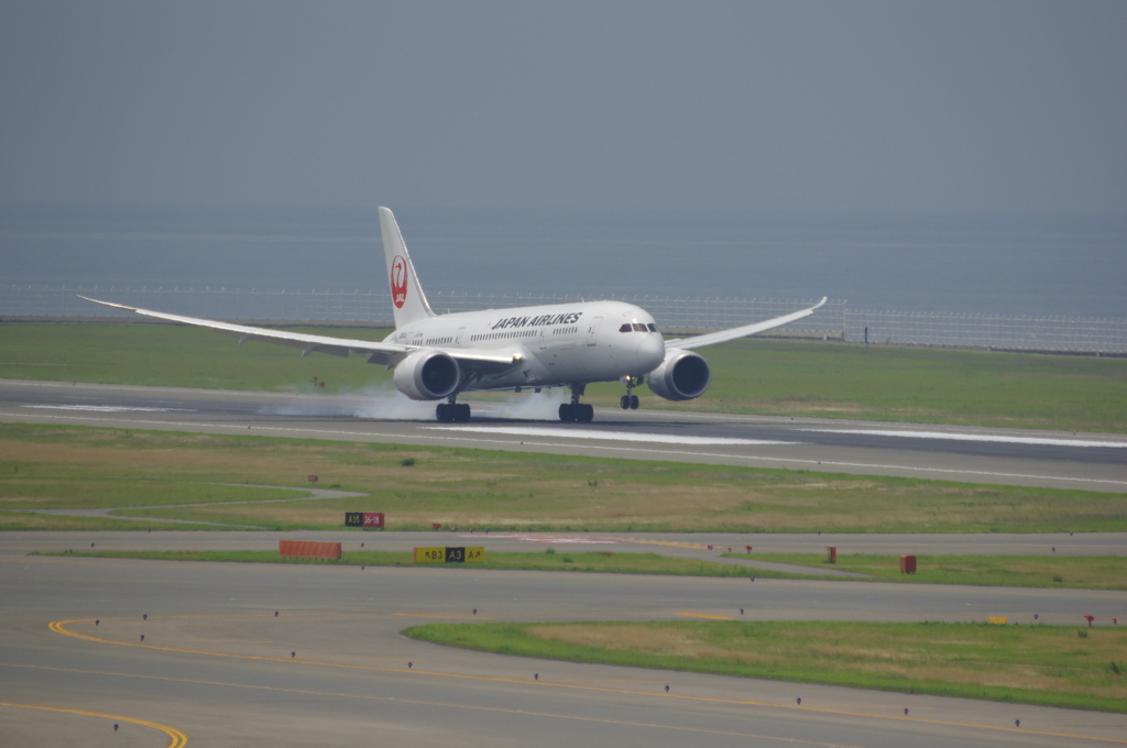 JAL(JA830J)787-8@ｾﾝﾄﾚｱ1