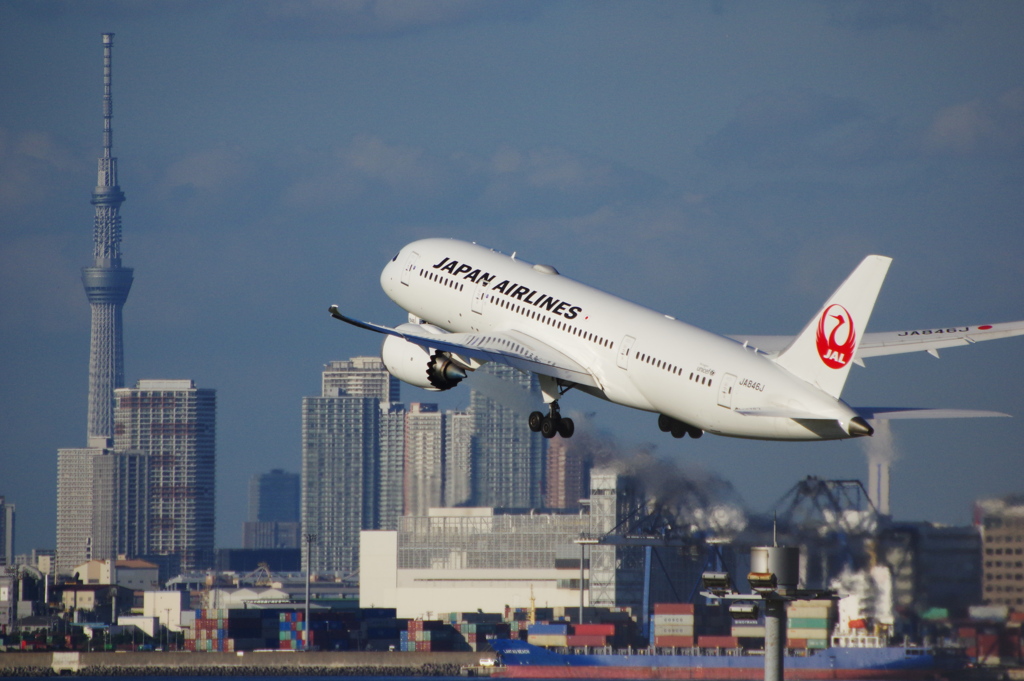 JAL(JA846J)787-8@羽田