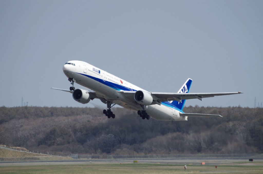 ANA(JA751A)777-300@新千歳