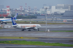 ANAｽﾀｰｳｫｰｽﾞ(JA604A)767-300@羽田1