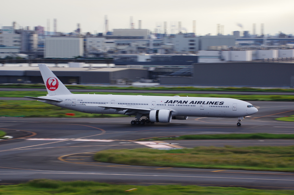 JAL(JA737J)777-346ER@羽田