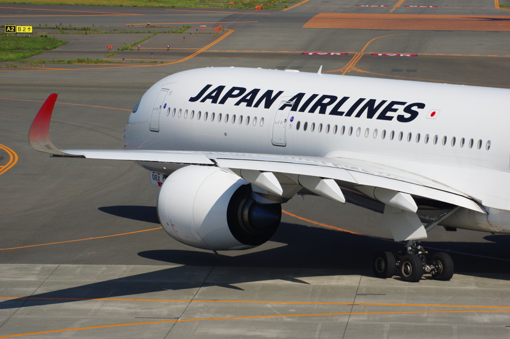 JAL(JA06XJ)A350-941@新千歳
