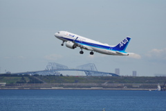 ANA(JA214A)A320-271N@羽田