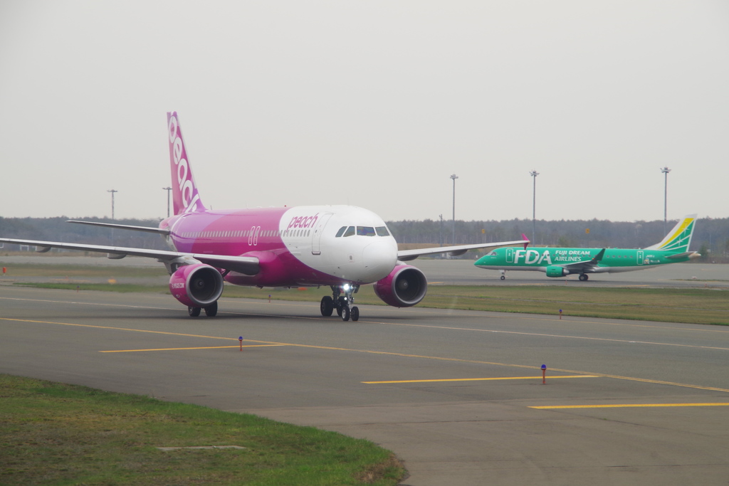 ﾋﾟｰﾁ(JA802P)A320-214@新千歳
