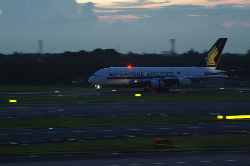 ｼﾝｶﾞﾎﾟｰﾙ航空A380@成田