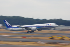 ANA(JA736A)777-300@成田