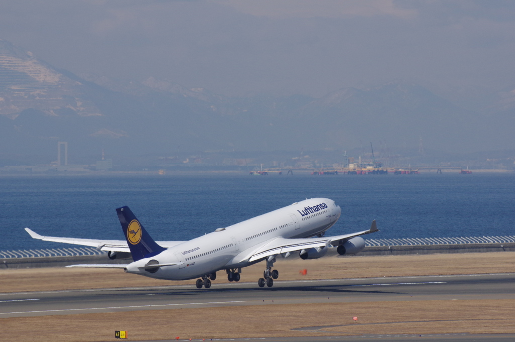 ﾙﾌﾄﾊﾝｻﾞﾄﾞｲﾂ航空(D-AIGT)A340-313X@ｾﾝﾄﾚｱ