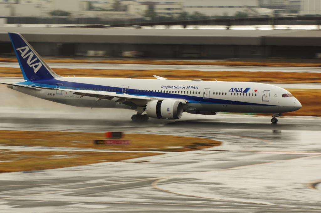 ANA(JA833A)787-9@羽田_1