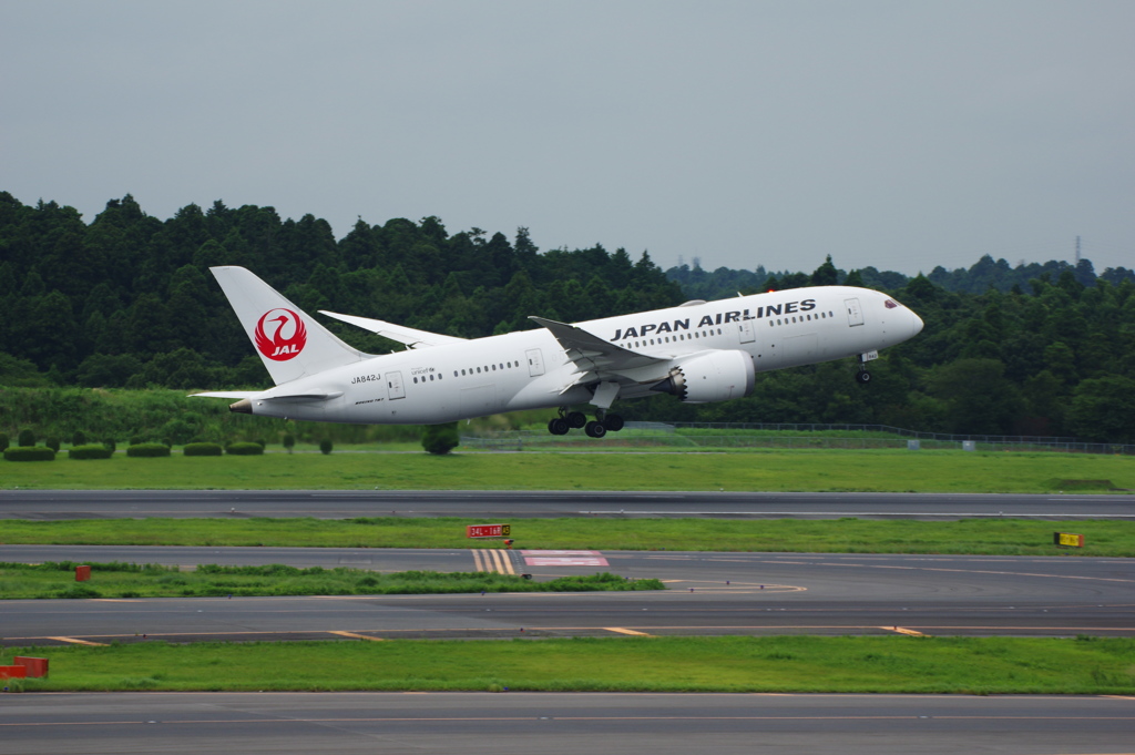 JAL(JA842J)787-8@成田