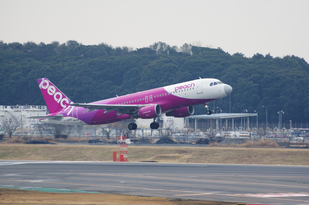 ﾋﾟｰﾁ(JA812P)A320-214@成田