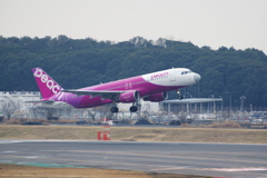 ﾋﾟｰﾁ(JA812P)A320-214@成田
