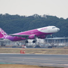 ﾋﾟｰﾁ(JA812P)A320-214@成田