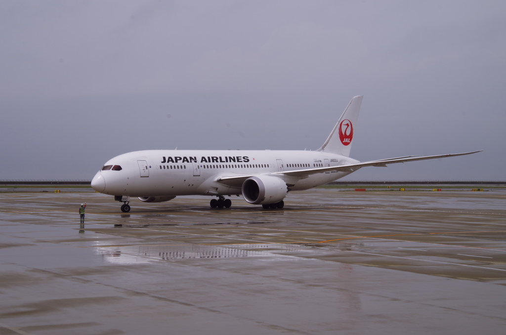 JAL(JA822J)787-8@ｾﾝﾄﾚｱ