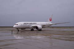 JAL(JA822J)787-8@ｾﾝﾄﾚｱ