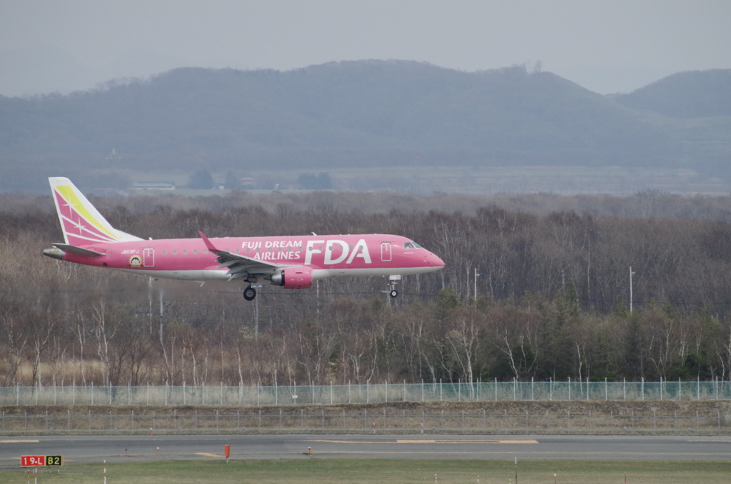 FDA(JA03FJ)ERJ-175@新千歳