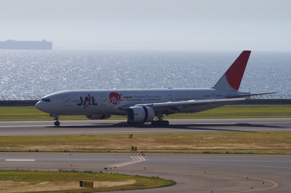 JAL(JA702J)@ｾﾝﾄﾚｱ