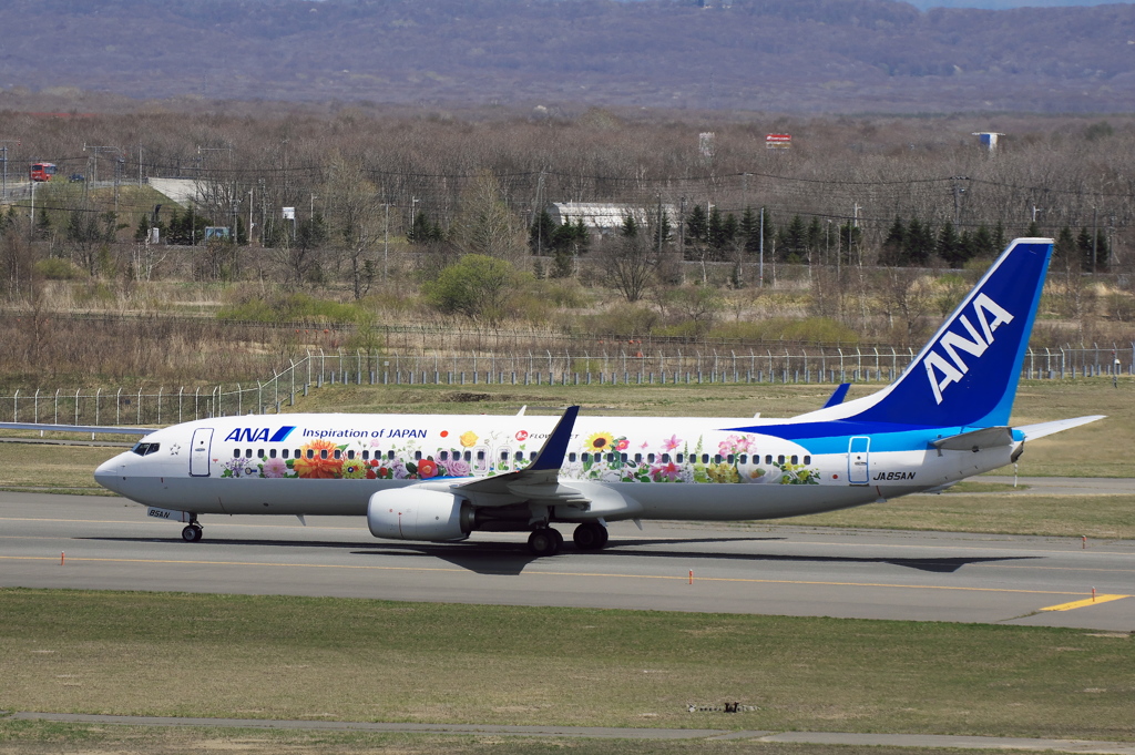 ANA東北ﾌﾗﾜｰｼﾞｪｯﾄ(JA85AN)737-800@新千歳