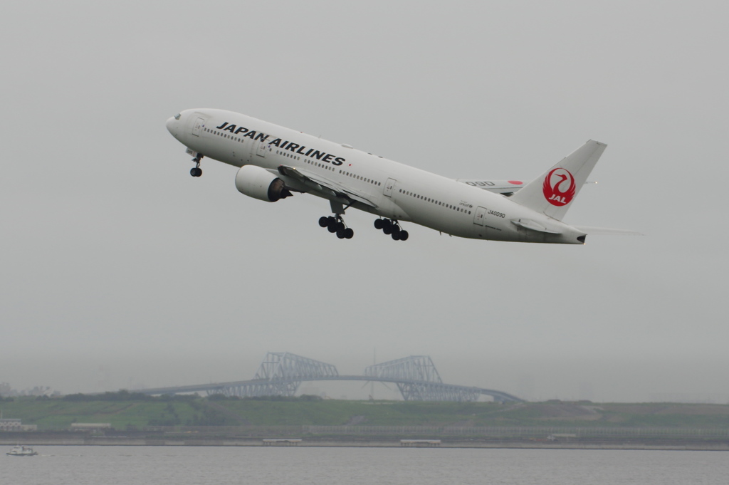 JAL(JA009D)777-289@羽田