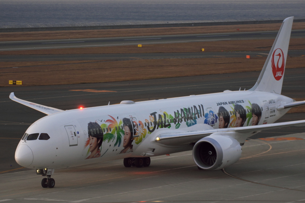 JAL[ARASHI HAWAII JET](JA873J)787-9@ｾﾝﾄﾚ