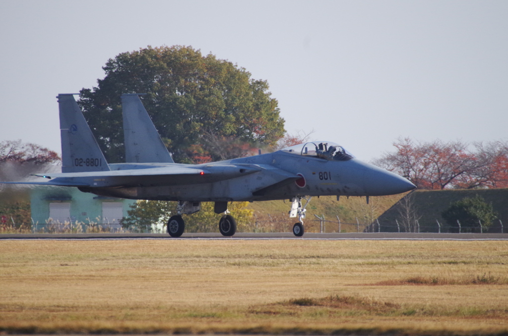 ﾏｸﾄﾞﾈﾙﾀﾞｸﾞﾗｽF-15Jｲｰｸﾞﾙ(02-8801)@岐阜基地