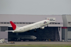 JAL(JA8299)767-300@羽田