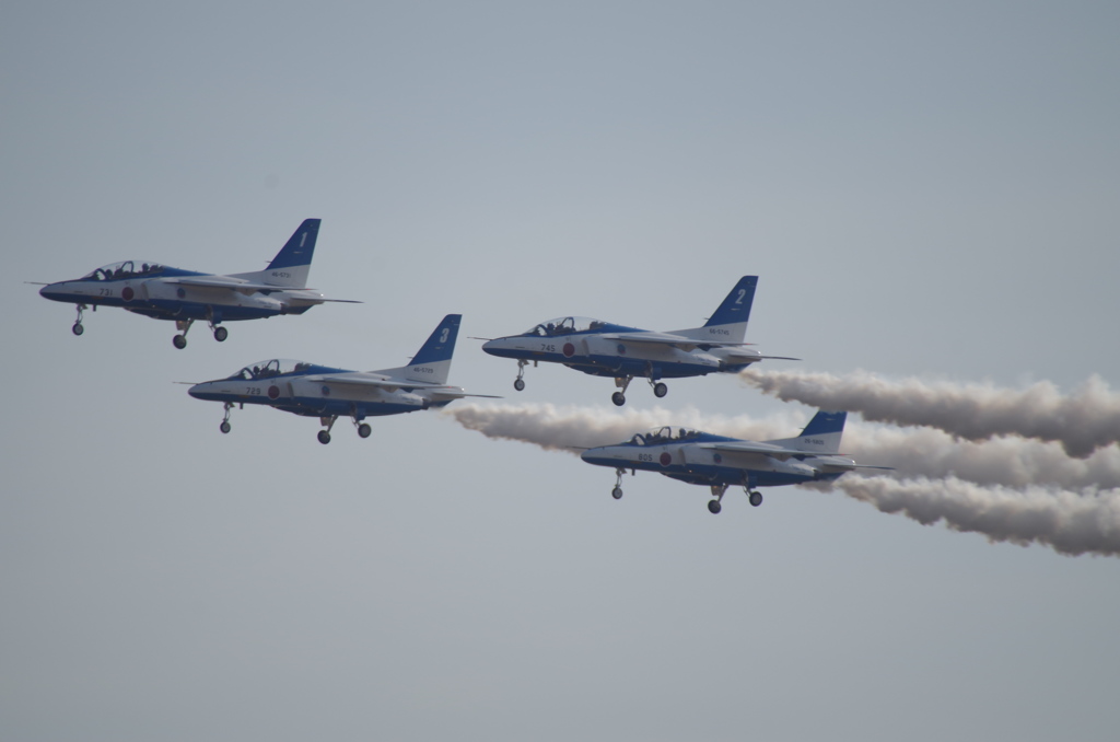 ﾌﾞﾙｰｲﾝﾊﾟﾙｽ@岐阜基地1