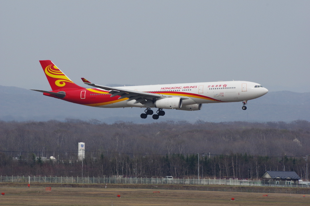 香港航空(B-LNT)A330-343X@新千歳