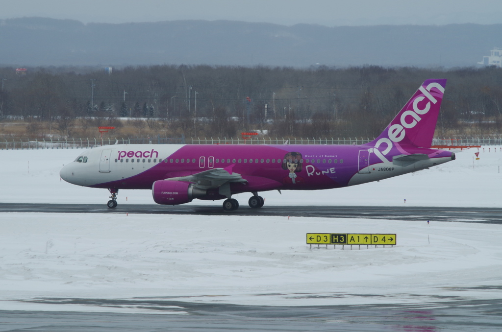 ﾋﾟｰﾁ(JA808P_Rune)ｴｱﾊﾞｽA320-214@新千歳