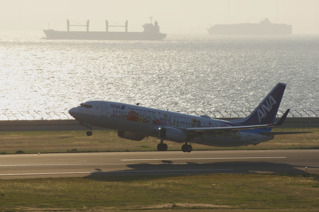 ANA[東北ﾌﾗﾜｰｼﾞｪｯﾄ](JA85AN)737-881@ｾﾝﾄﾚｱ