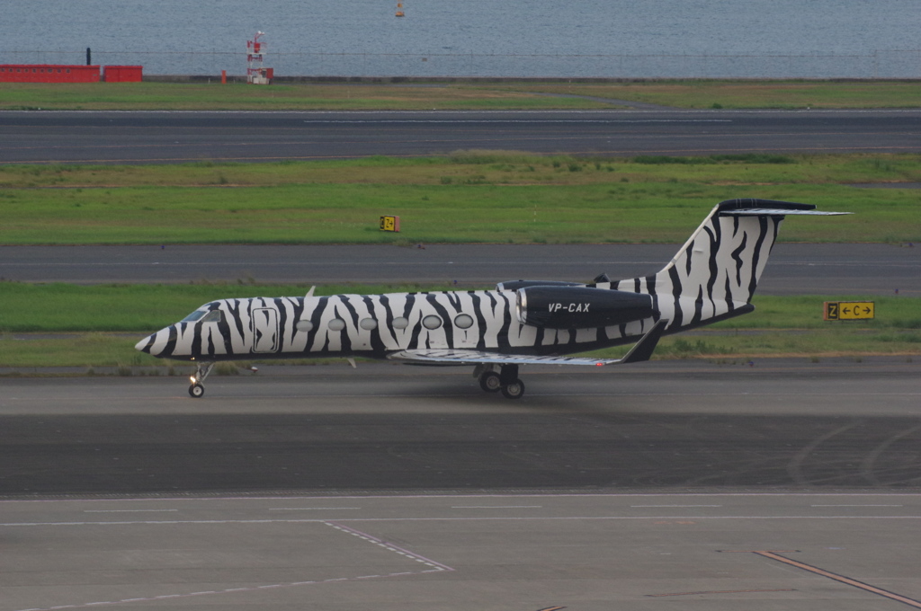 TAGｴｲﾋﾞｴｰｼｮﾝ･ｱｼﾞｱ(VP-CAX)Gulfstream Aero