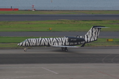 TAGｴｲﾋﾞｴｰｼｮﾝ･ｱｼﾞｱ(VP-CAX)Gulfstream Aero