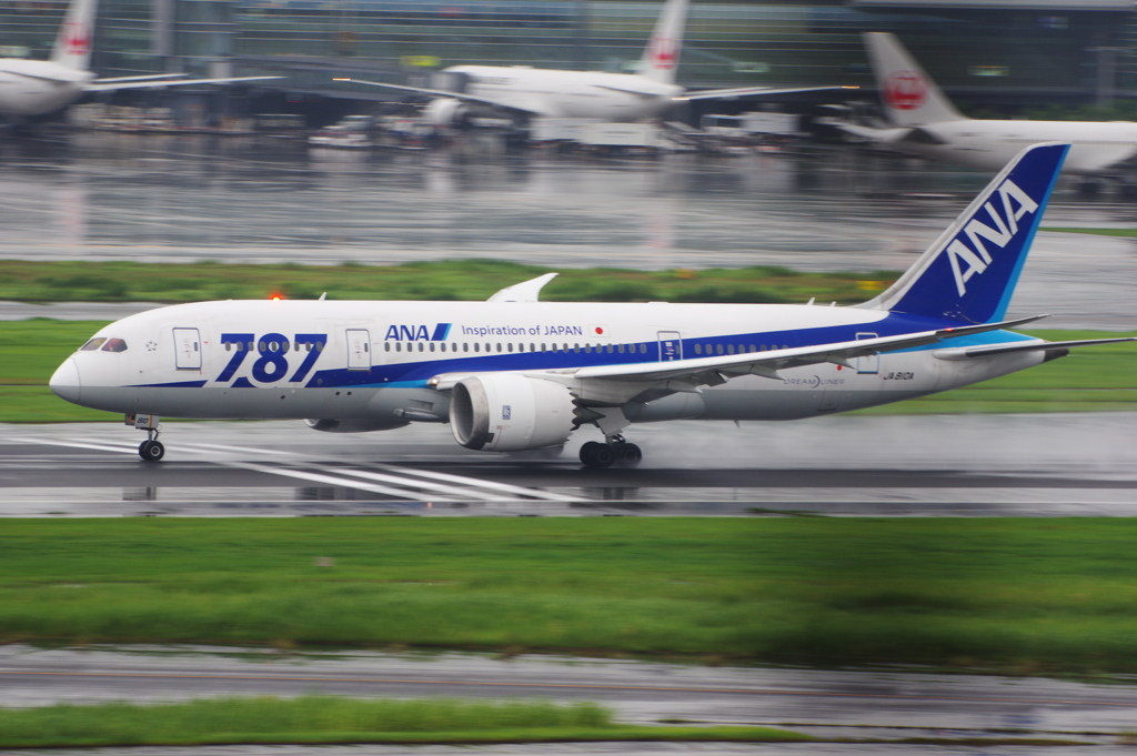 ANA(JA810A)787-8@羽田