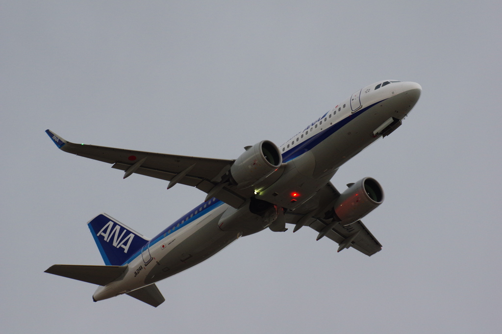 ANA(JA214A)A320-271N@羽田_1