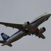 ANA(JA214A)A320-271N@羽田_1