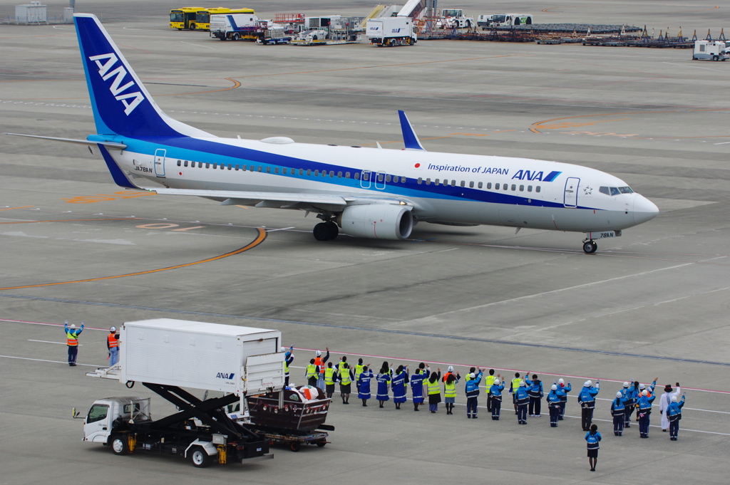 ANA(JA78AN)737-881@ｾﾝﾄﾚｱ_3