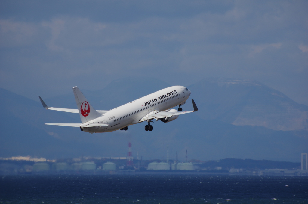JAL(JA303J)737-800@ｾﾝﾄﾚｱ