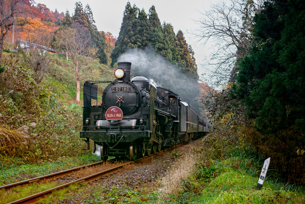 照る紅葉、日没間際を駆け抜ける