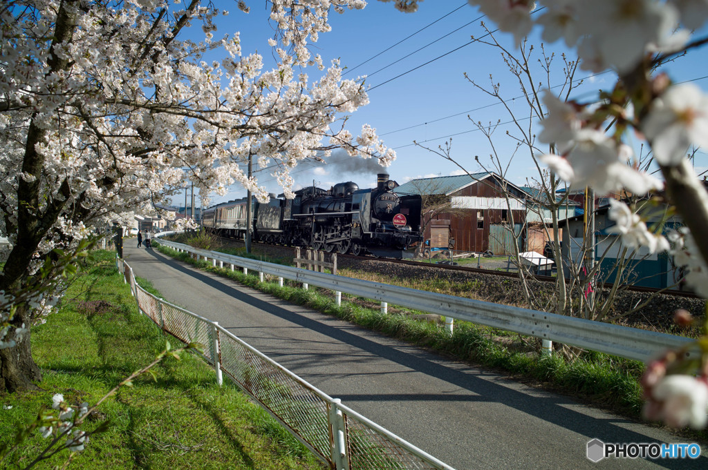 桜とともに　3