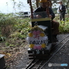 ミニ鉄道でも運転は真剣です。