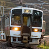 電車の顔