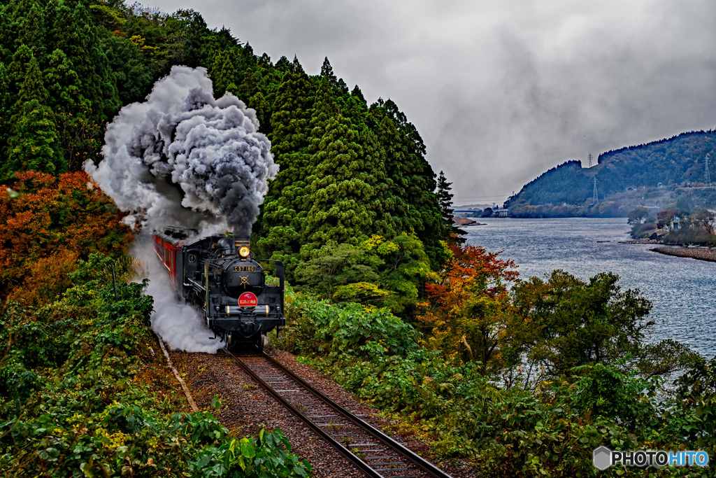 紅葉感！