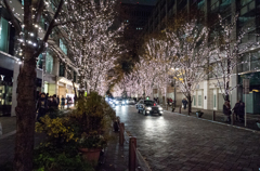 LEICA SUPER-ELMAR-M 1:3.8 / 18 ASPH.作例1