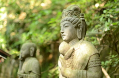 等々力渓谷の御仁